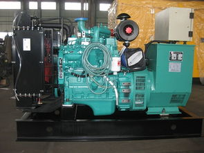 昆明東本機電設備公司 昆明玉柴發電機30kw